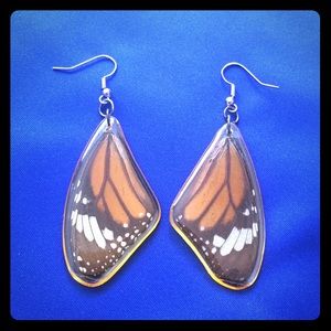 Real Monarch Butterfly Wing Earrings